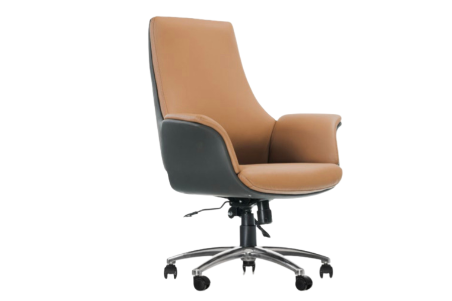 Καρέκλα Γραφείου Palma 100C Low Back με ΠΟΙΚΙΛΙΑ ΧΡΩΜΑΤΩΝ