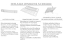 Times Upholstered Bed BED-0213-0039 Efdeco Image 4