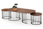 Ripa Walnut Table Set COF-0935-0062 Efdeco