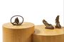 Viva Set Coffee Table Natural COF-0937-0029 Efdeco