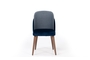Spot Dining Chair CHA-0186-0110 Efdeco Image 2