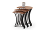Carmen Nesting Table Set SMF-0935-0009 Efdeco
